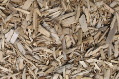 biomass boilers Wood Enderby